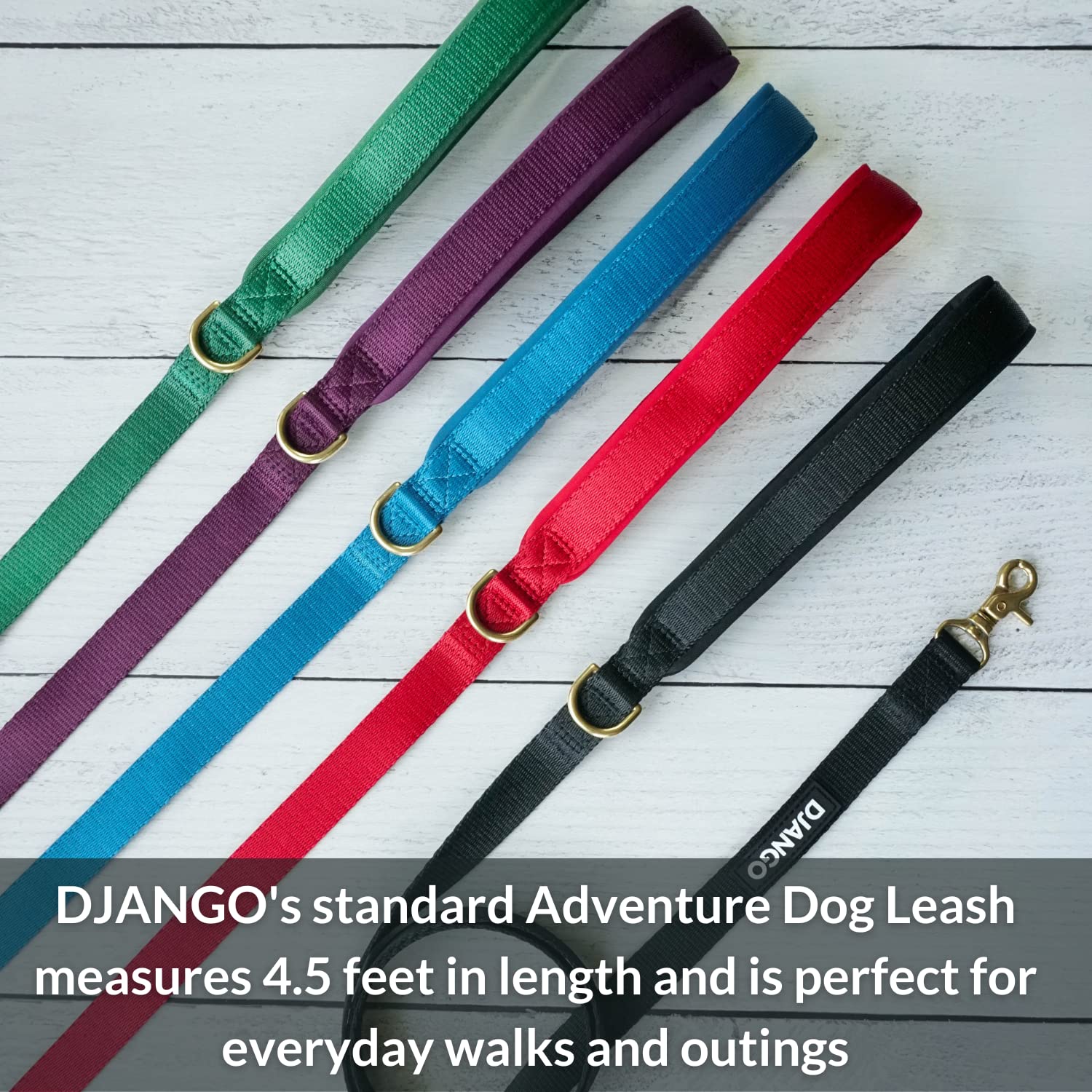 Correa para Perro de Aventura DJANGO - Resistente, Cómoda y - Imagen 3