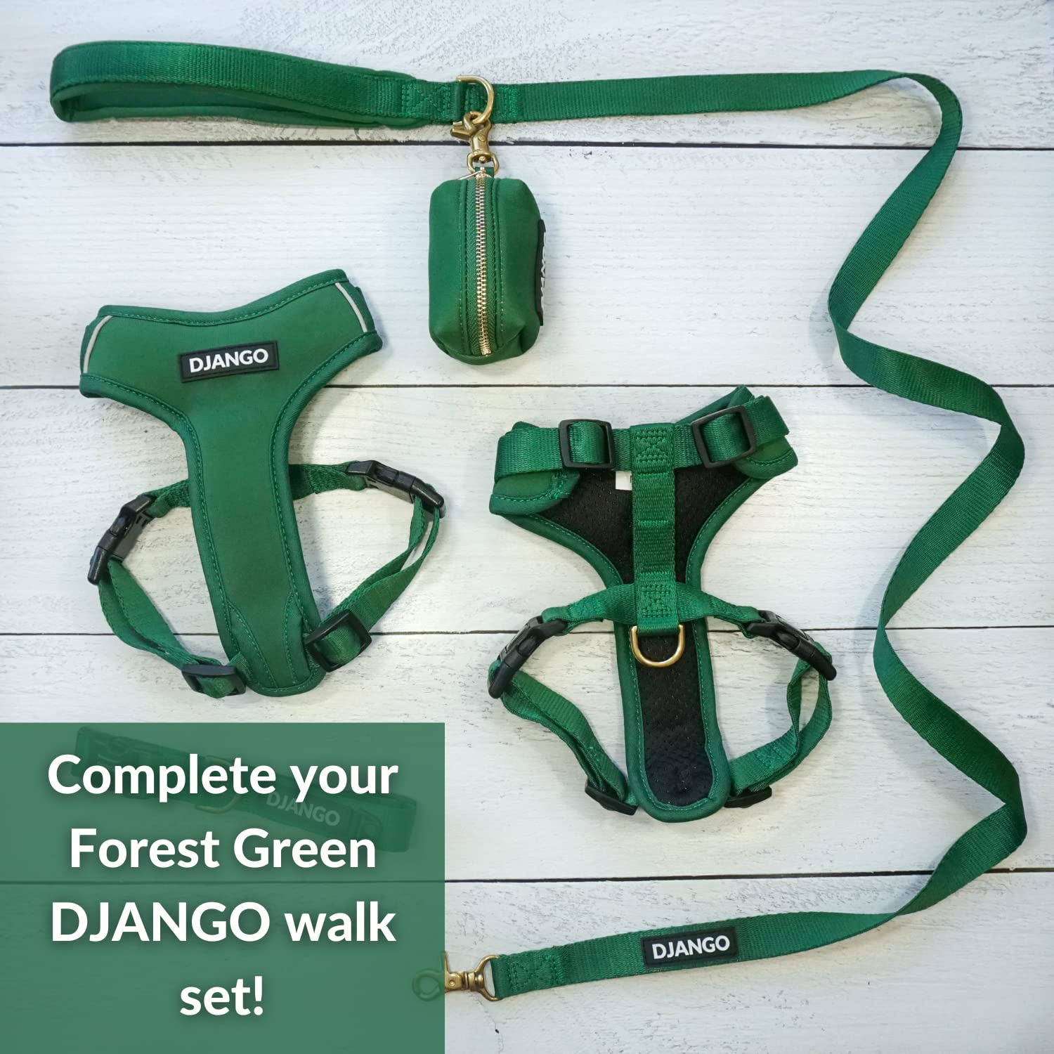 Correa para Perros de Aventura DJANGO – Resistente, Cómoda - Imagen 8