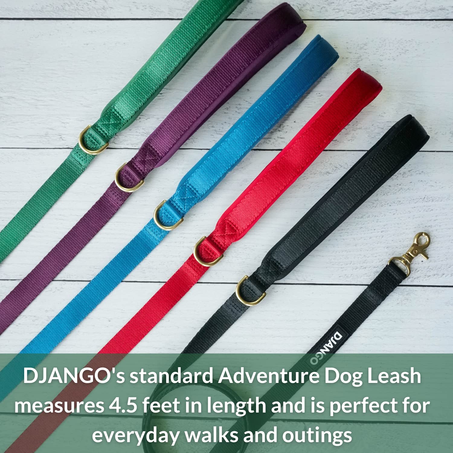 Correa para Perros de Aventura DJANGO – Resistente, Cómoda - Imagen 3