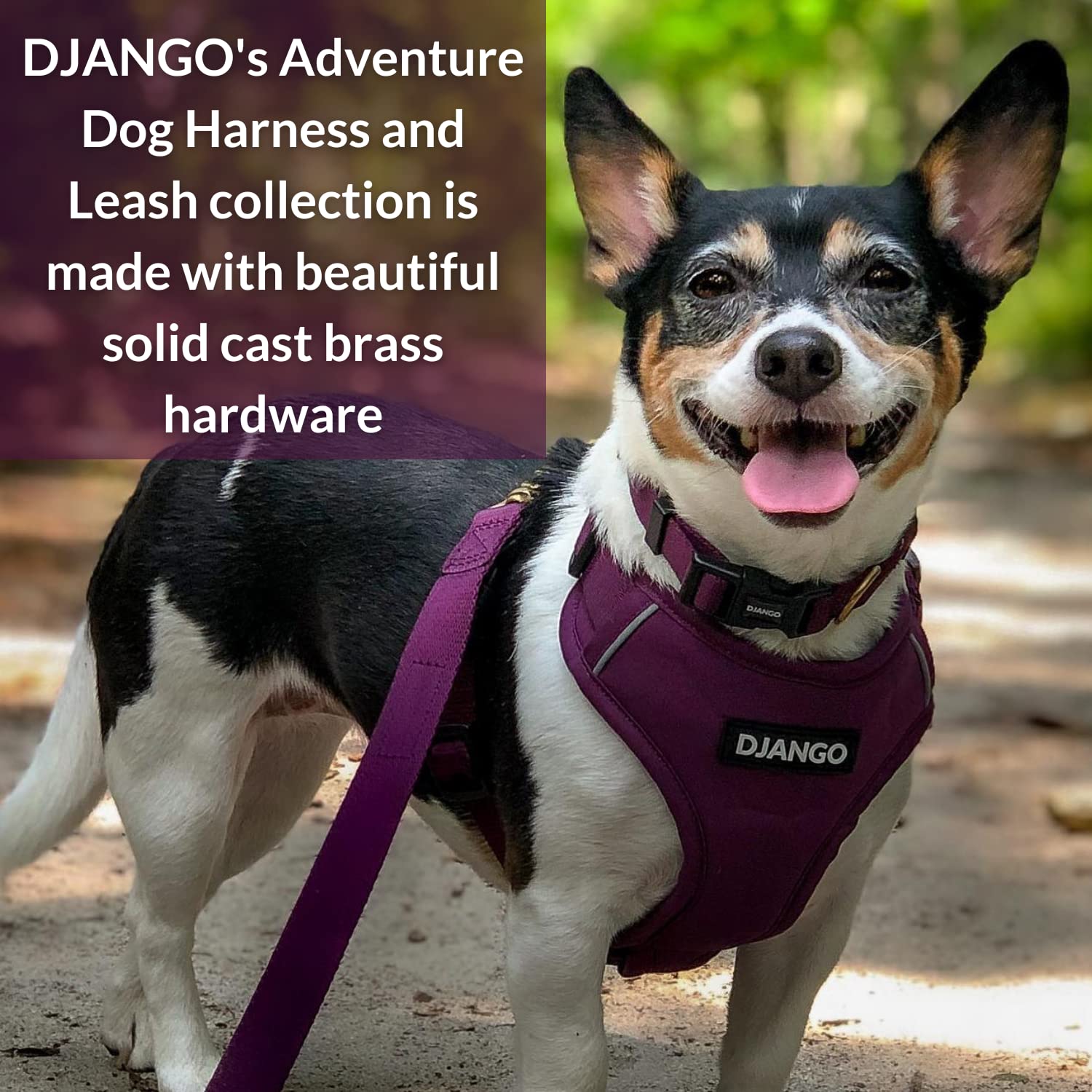 Correa de Perro de Aventura DJANGO - Resistente, Cómoda y - Imagen 7