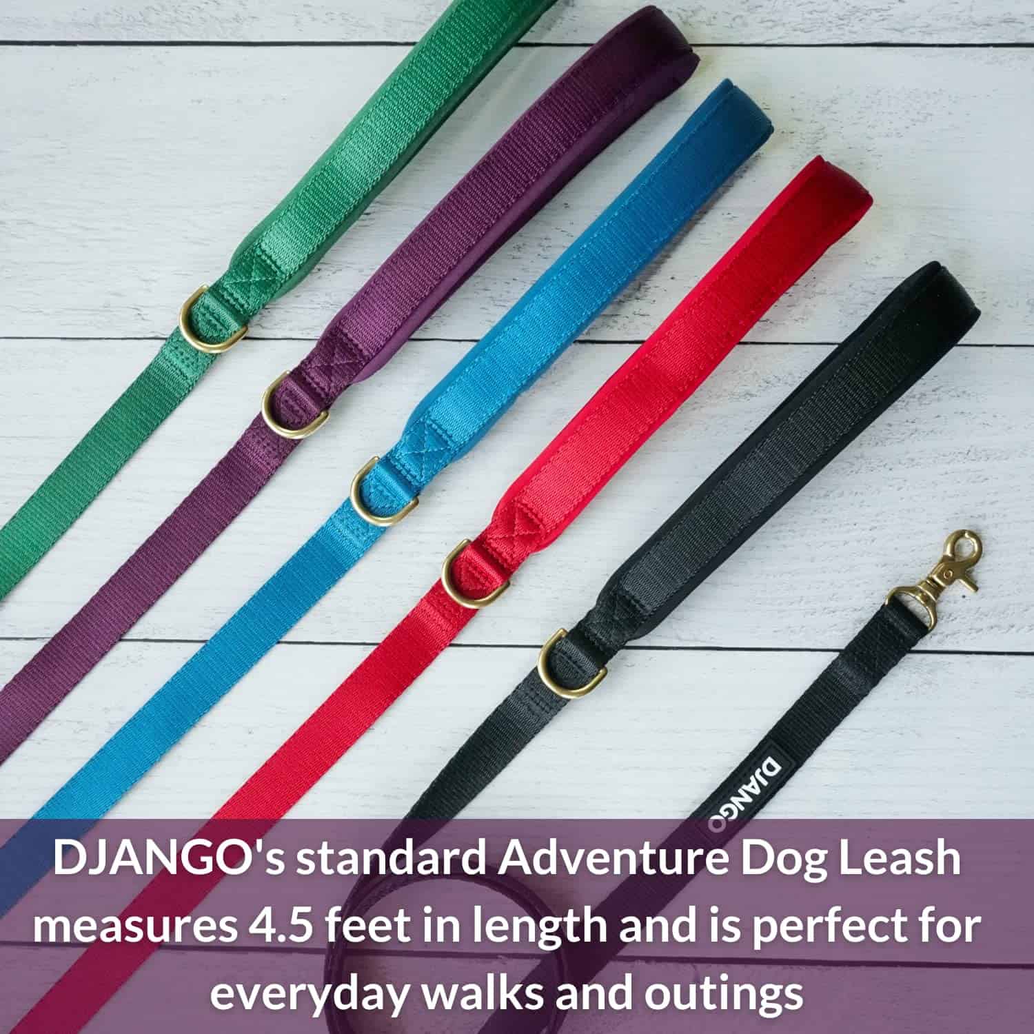 Correa de Perro de Aventura DJANGO - Resistente, Cómoda y - Imagen 3