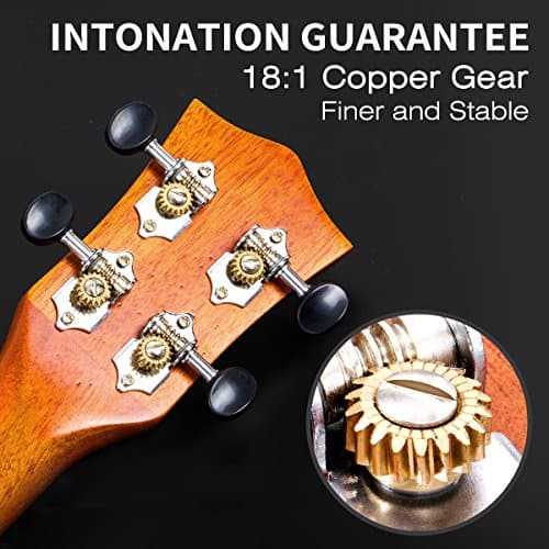 Ukulele para Zurdos, AKLOT Ukelele de Concierto de 23 - Imagen 8