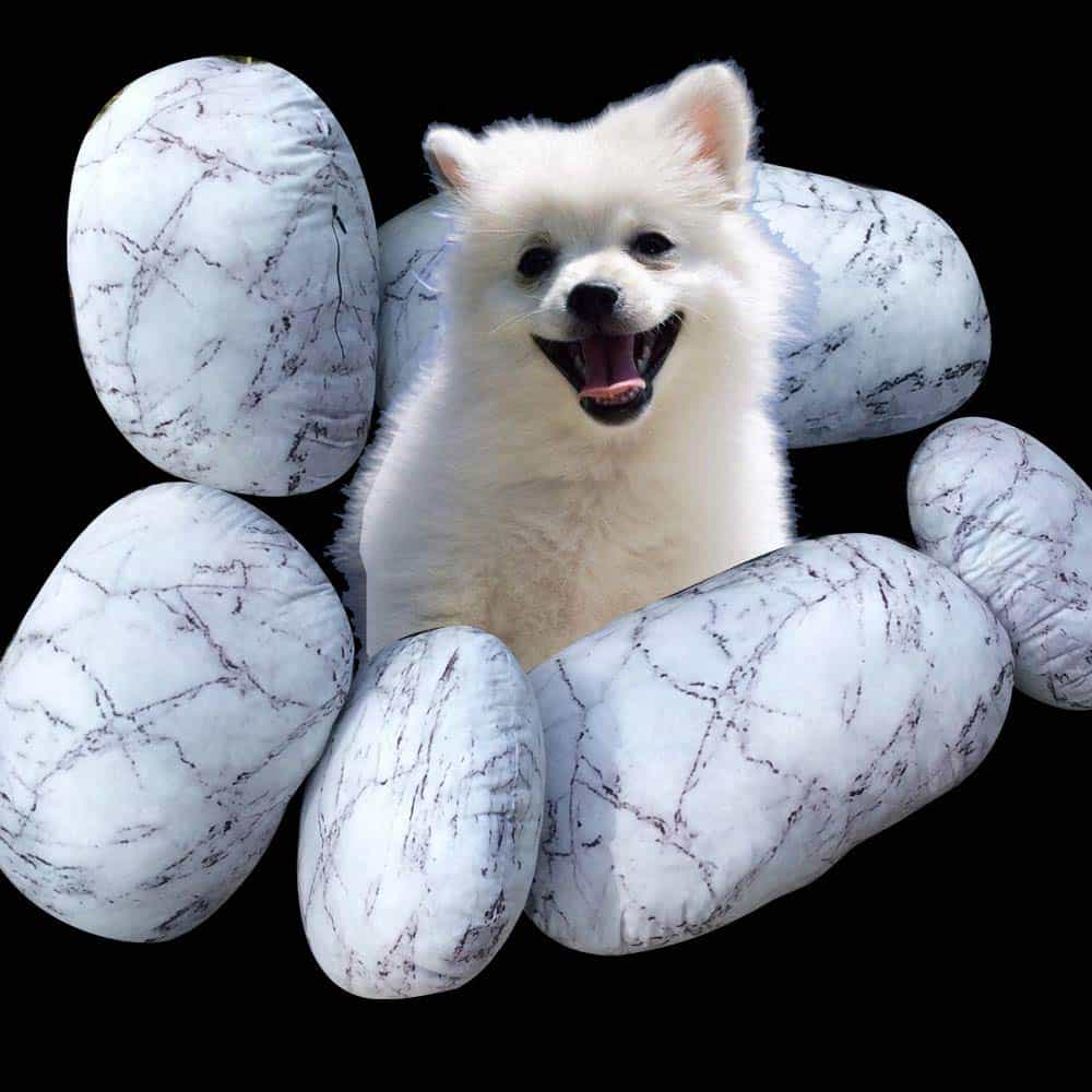 Qupace 6PCS Funda de Almohada de Juego de Jardín para Sala - Imagen 8