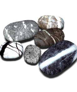 Qupace 6PCS Funda de Almohada de Juego de Jardín para Sala