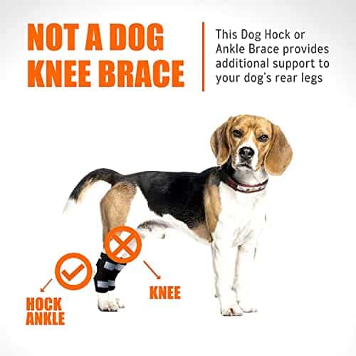 Férulas para Perros NeoAlly Super Soporte para Piernas - Imagen 8