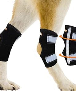 Férulas para Perros NeoAlly Super Soporte para Piernas
