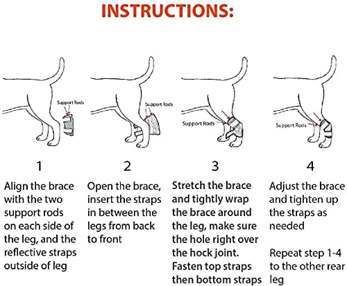 Férulas para Perros NeoAlly Super Soporte para Piernas - Imagen 4