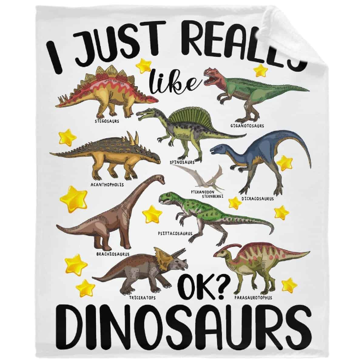Manta MYSTCOVER I Just Really Like Dinosaurs - Regalos para - Imagen 5