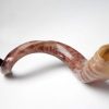 Nuevo Shofarot Israelí Kosher Yemenita Kudu Shofar Tamaño