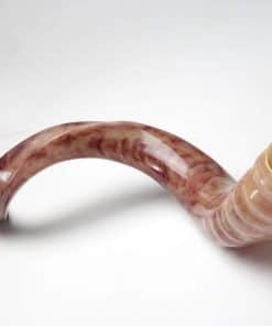 Nuevo Shofarot Israelí Kosher Yemenita Kudu Shofar Tamaño