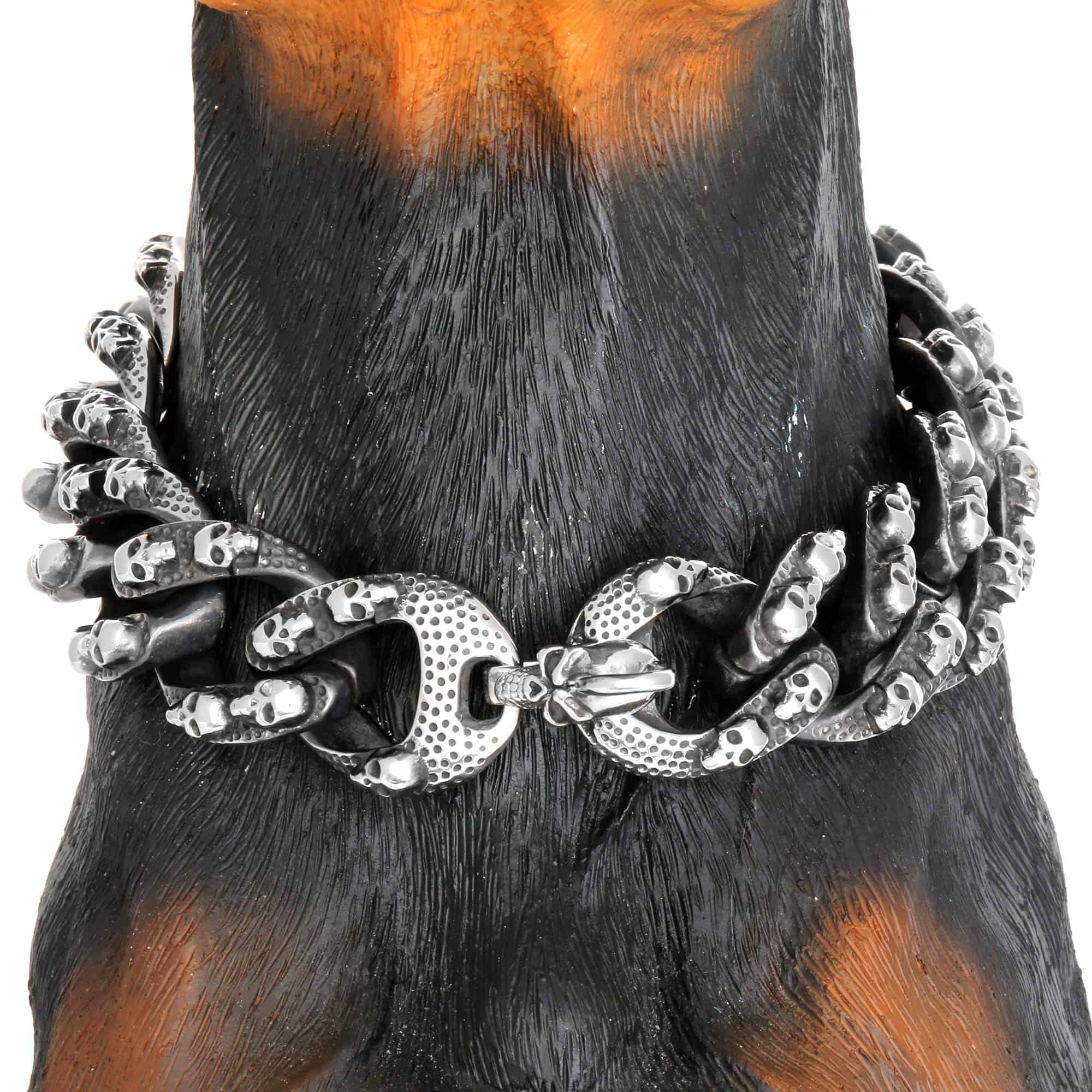 Collar de Cadena para Perros con Personalidad