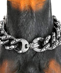 Collar de Cadena de Perro con Personalidad txprodogchains