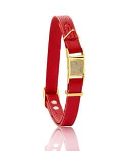 Collar de perro de cuero con hebilla de liberación rápida