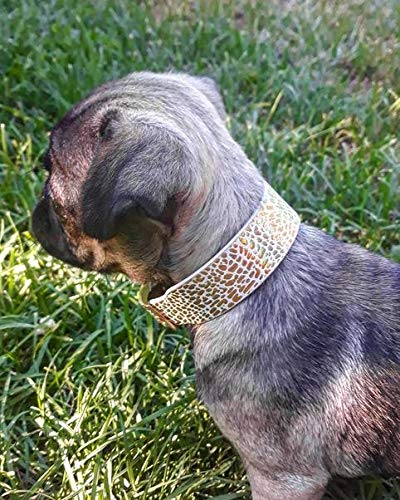 Collar para Perros Balthazar de BESTIA - Imagen 4