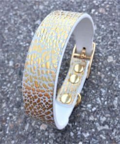 Collar para Cachorros Balthazar