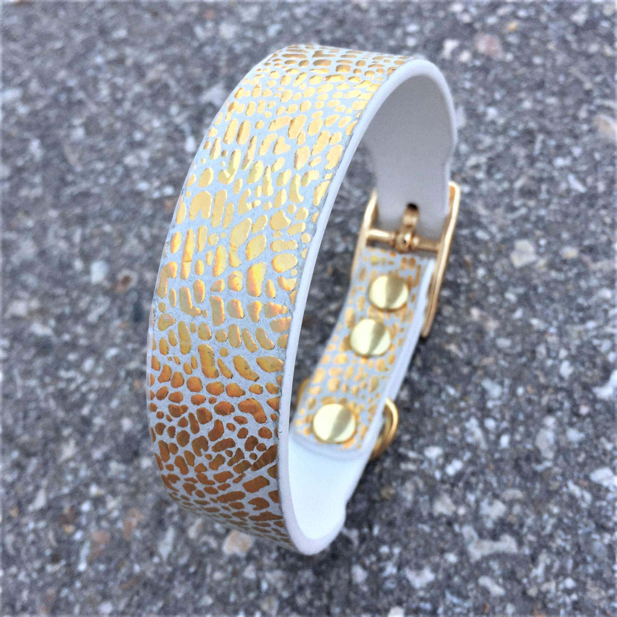 Collar para Cachorros Balthazar