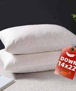 Almohadillas de plumón de ganso YSTHER 14x22 Set de 2