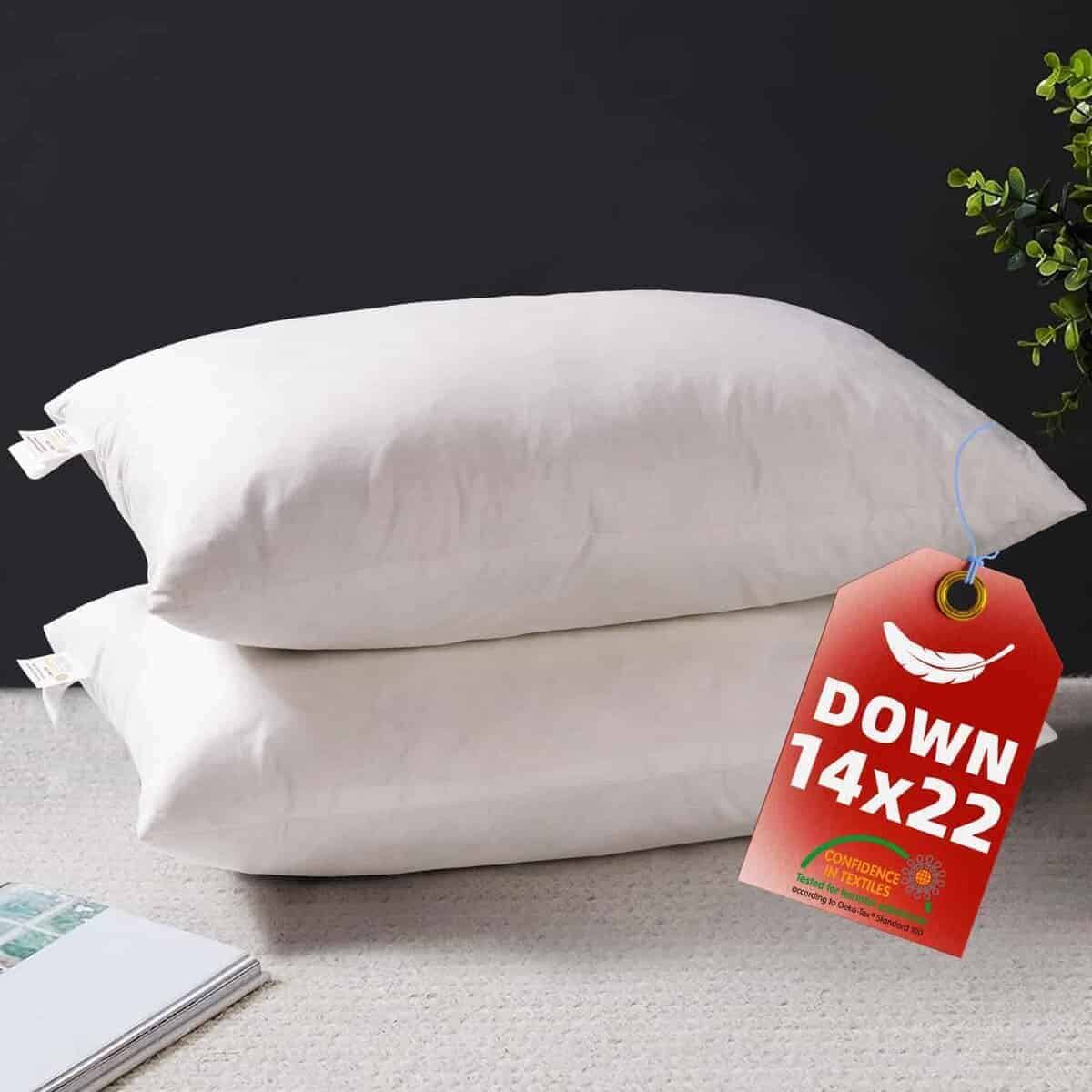 Almohadillas de plumón de ganso YSTHER 14x22 Set de 2