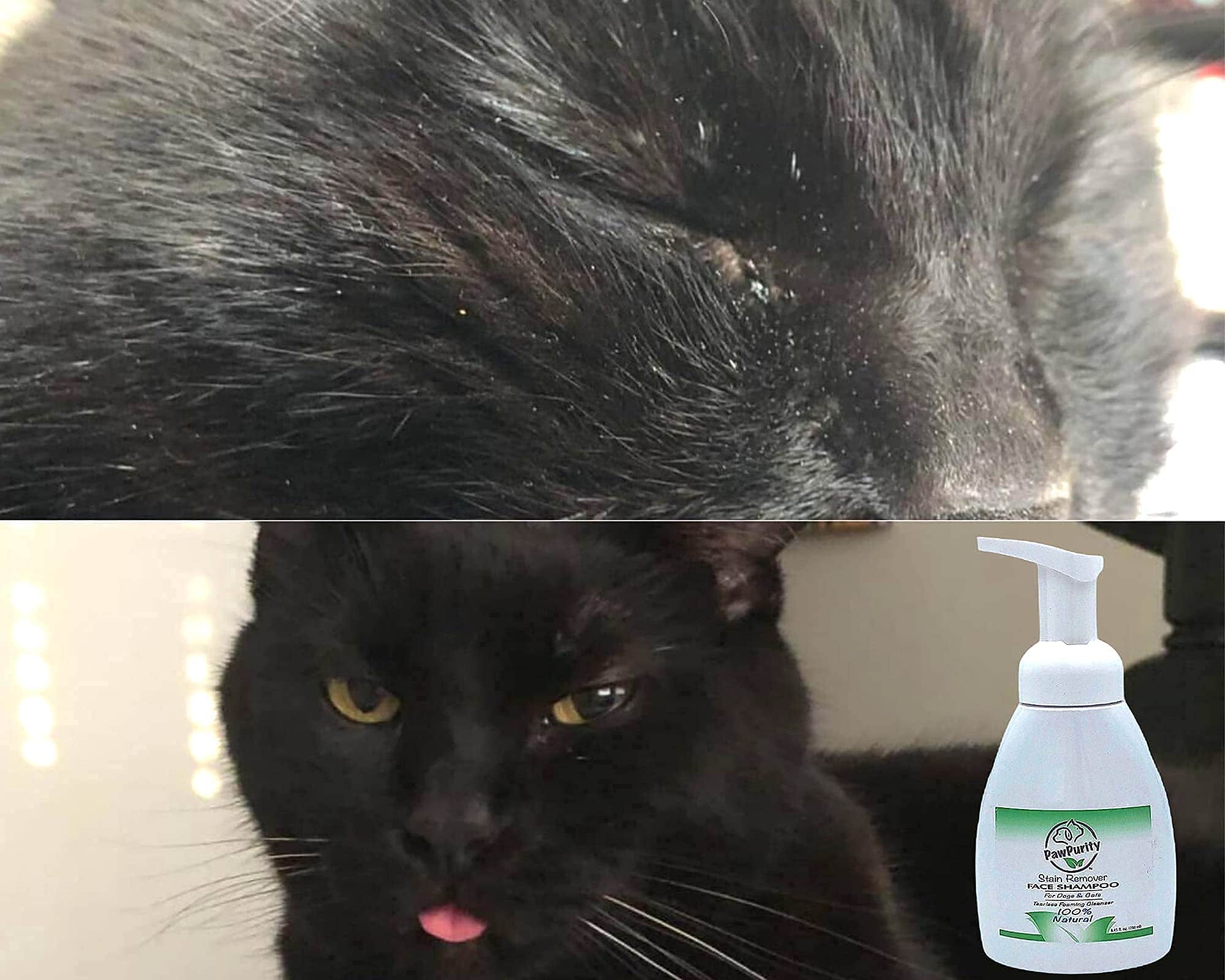 PawPurity Limpiador de manchas y lavado facial sin lágrimas - Imagen 8