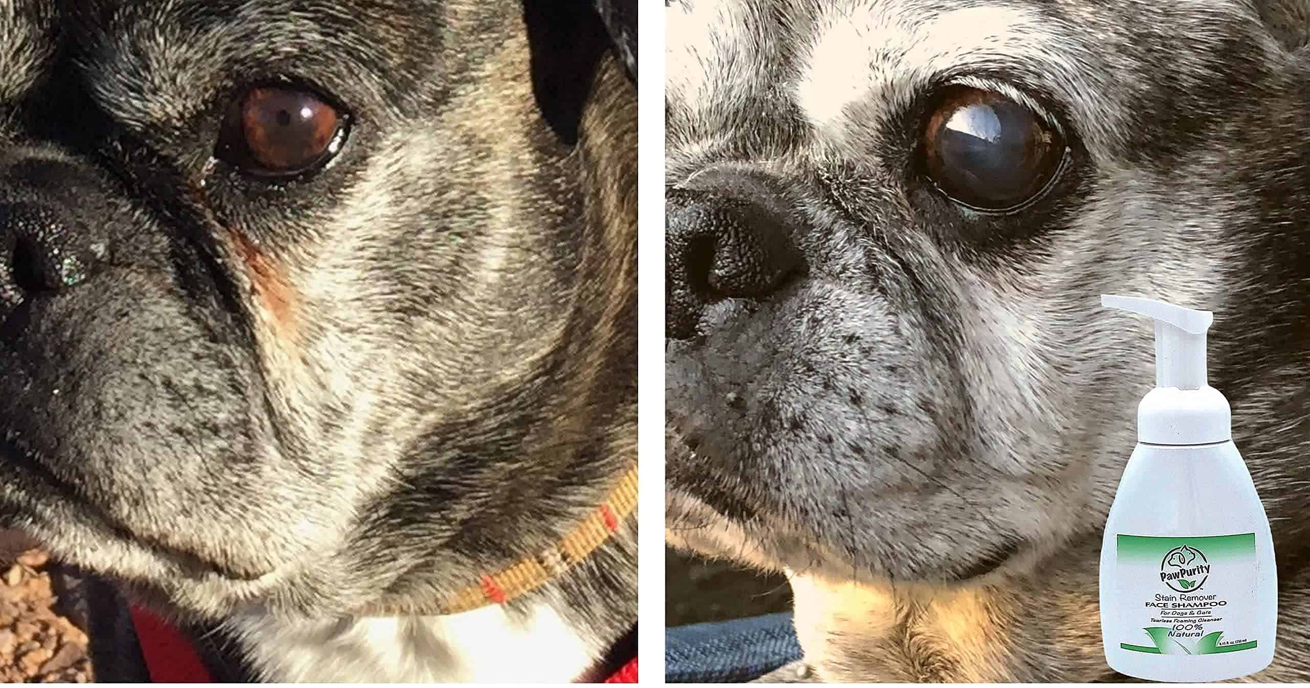 PawPurity Limpiador de manchas y lavado facial sin lágrimas - Imagen 10