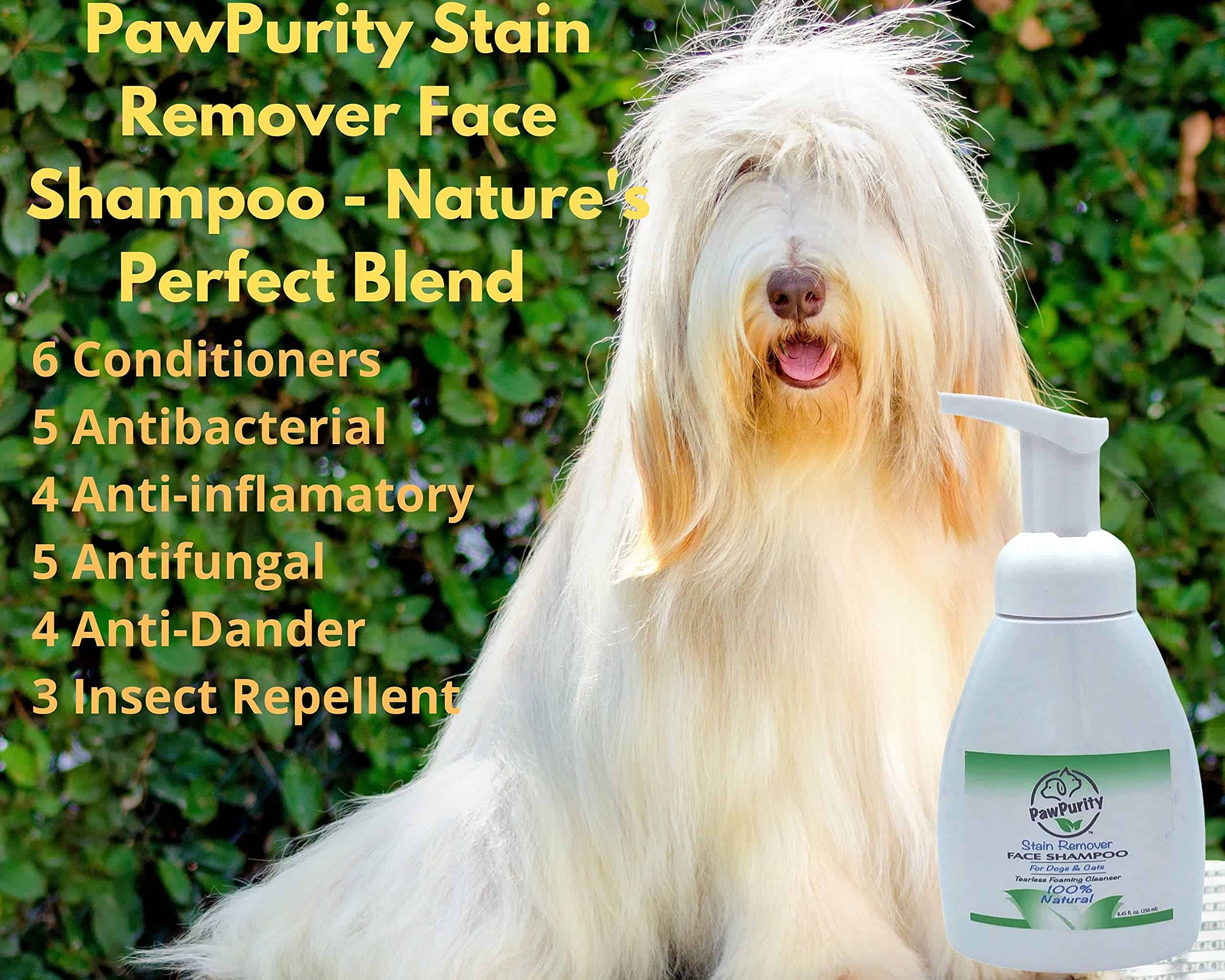 PawPurity Limpiador de manchas y lavado facial sin lágrimas - Imagen 5