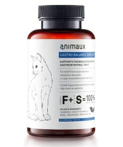 animaux - Gastro Balance para Gatos, Soporta el Tracto