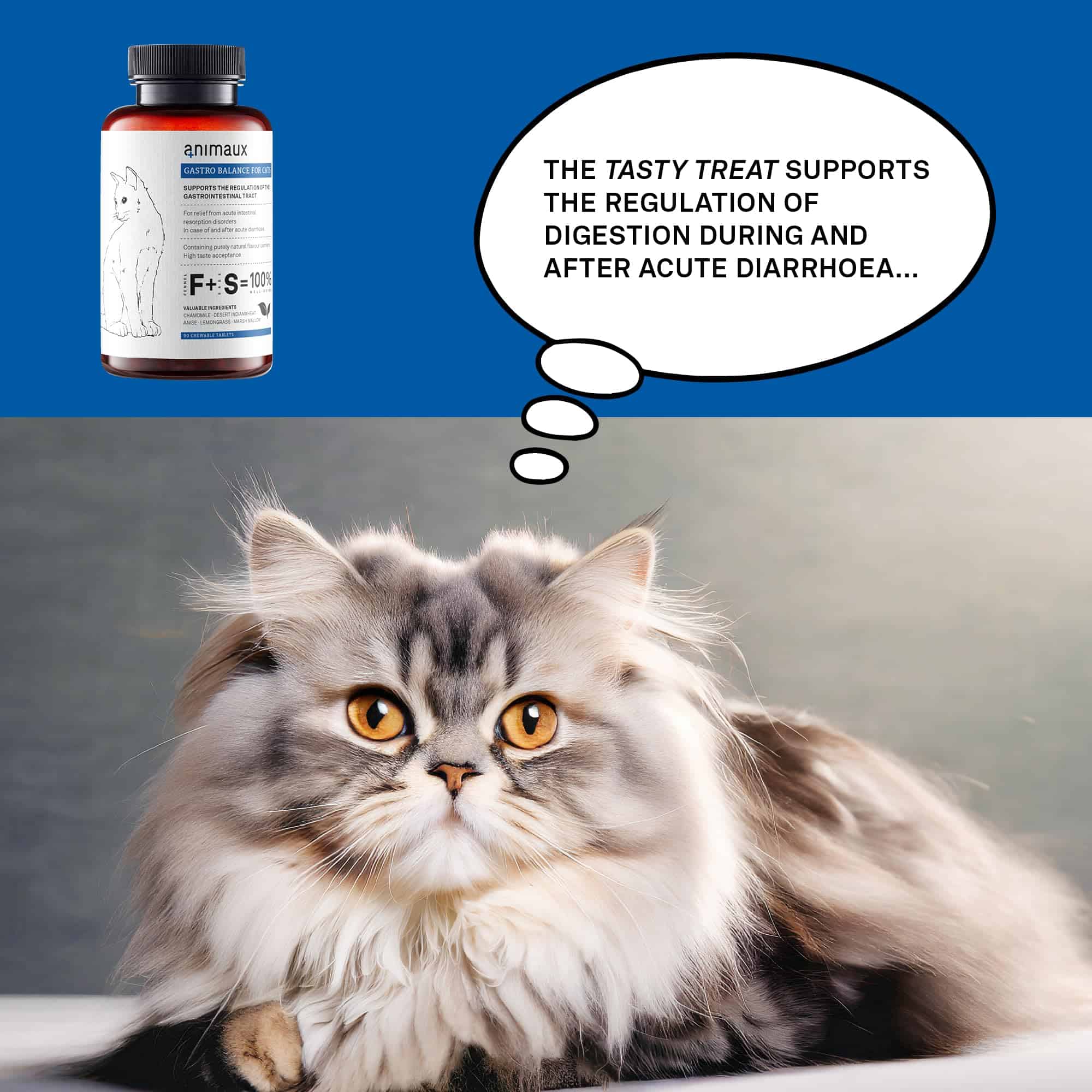 animaux - Gastro Balance para Gatos, Soporta el Tracto - Imagen 6