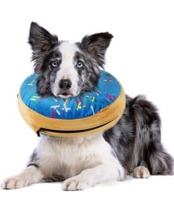 Collar de Rosquilla para Perros | Gran Alternativa a un