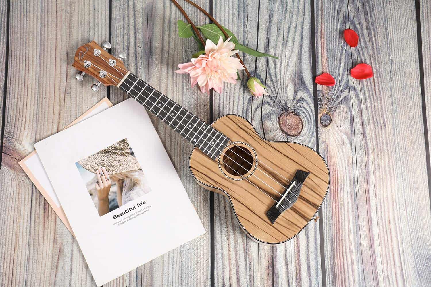 Ukelele Soprano Ranch de 21 pulgadas Aprende a Tocar - Imagen 9