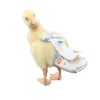Pañales para patos, pollos, pañales especiales para aves de