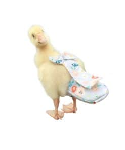 Pañal para Aves, Patos, Gallinas Especial para Aves de