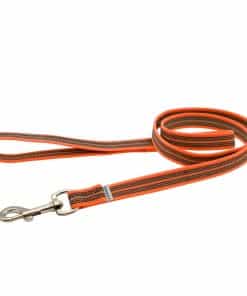 Correa para perros reflectante de nylon con goma resistente