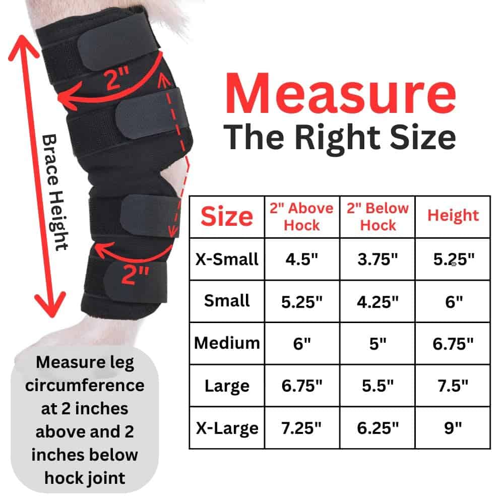 Funda para perros AGON para la articulación de la pata - Imagen 4