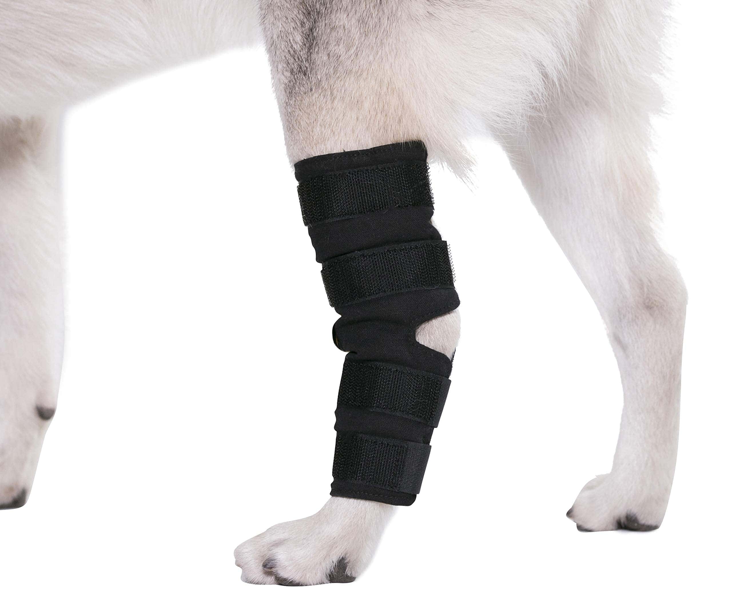 Funda para perros AGON para la articulación de la pata - Imagen 6