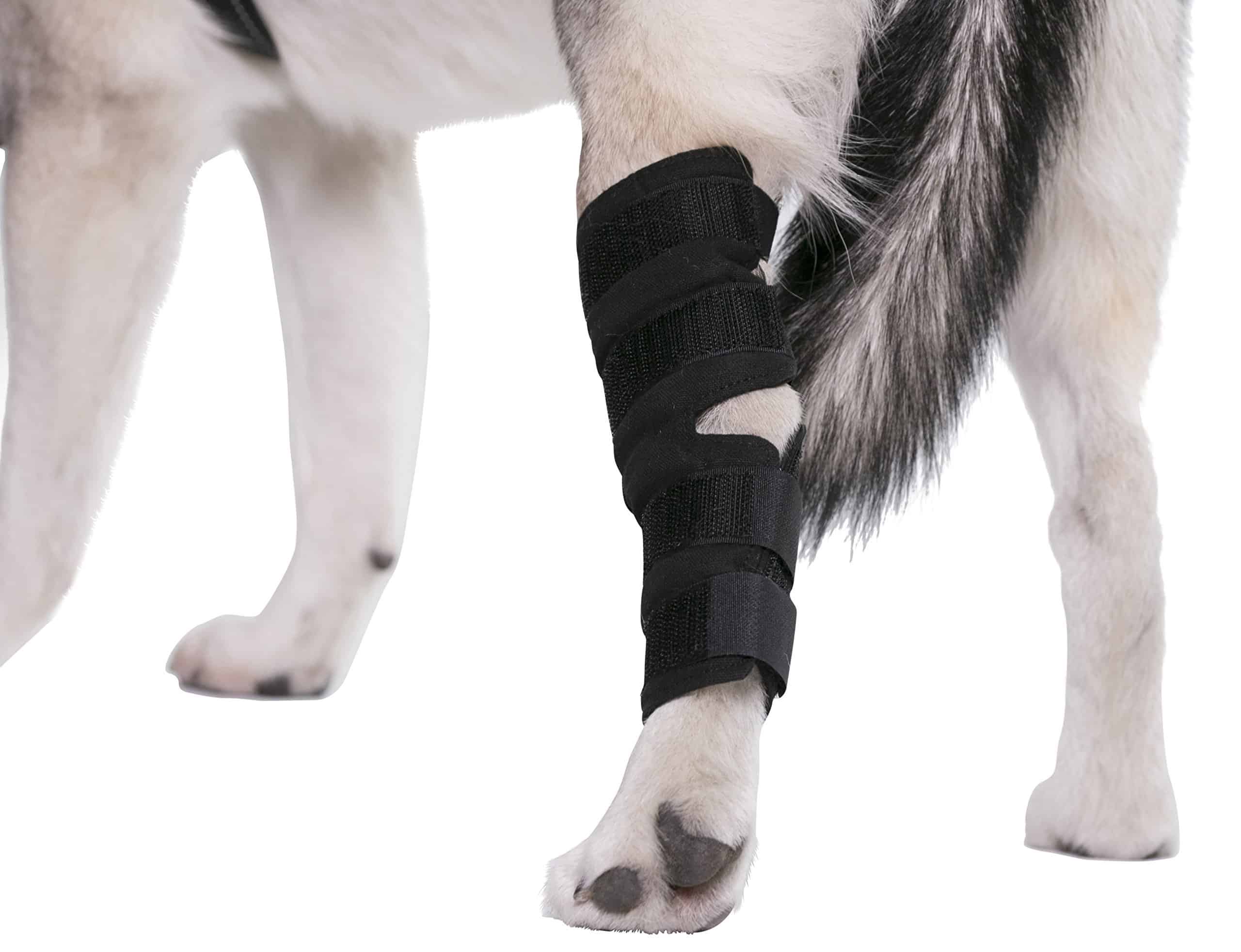 Funda para perros AGON para la articulación de la pata - Imagen 5