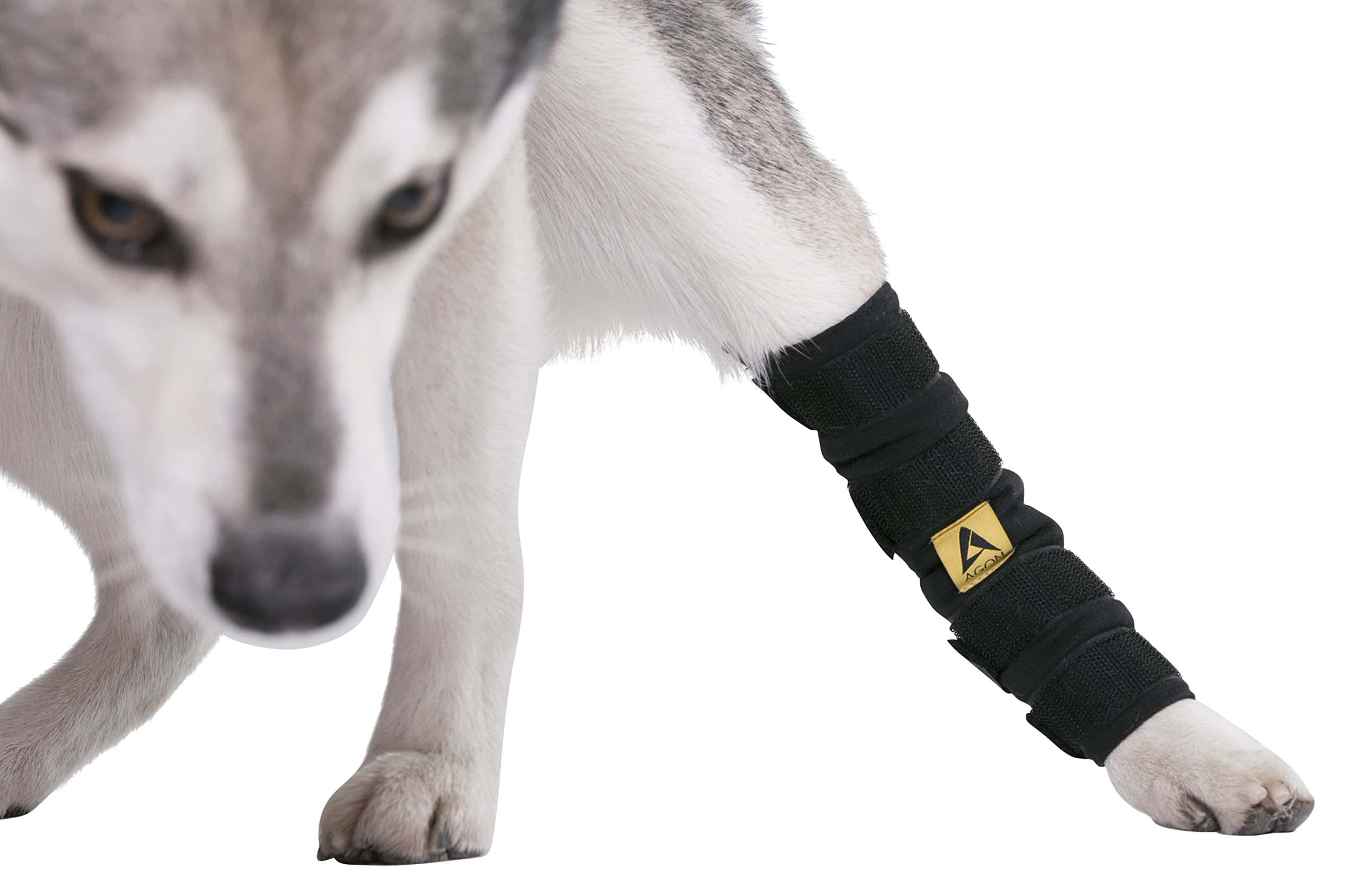 Funda para perros AGON para la articulación de la pata - Imagen 7