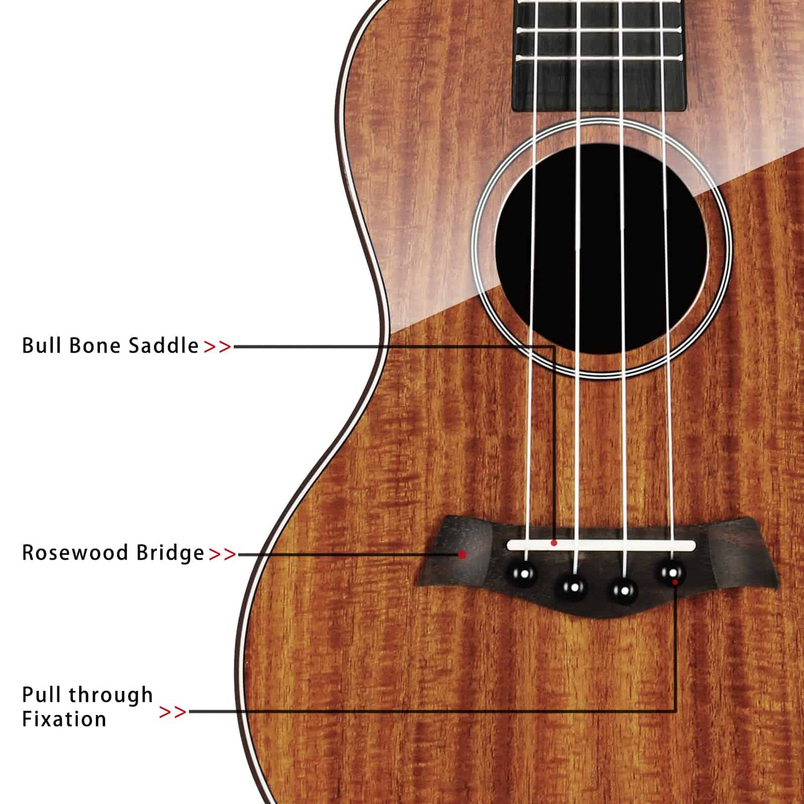 Kit de Ukelele de Concierto Acacia de 23 pulgadas Ukelele - Imagen 4