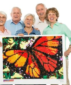Kit de Rompecabezas de Mosaico Gigante | -Mariposa