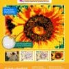 Kit de rompecabezas de mosaico gigante | -Girasol