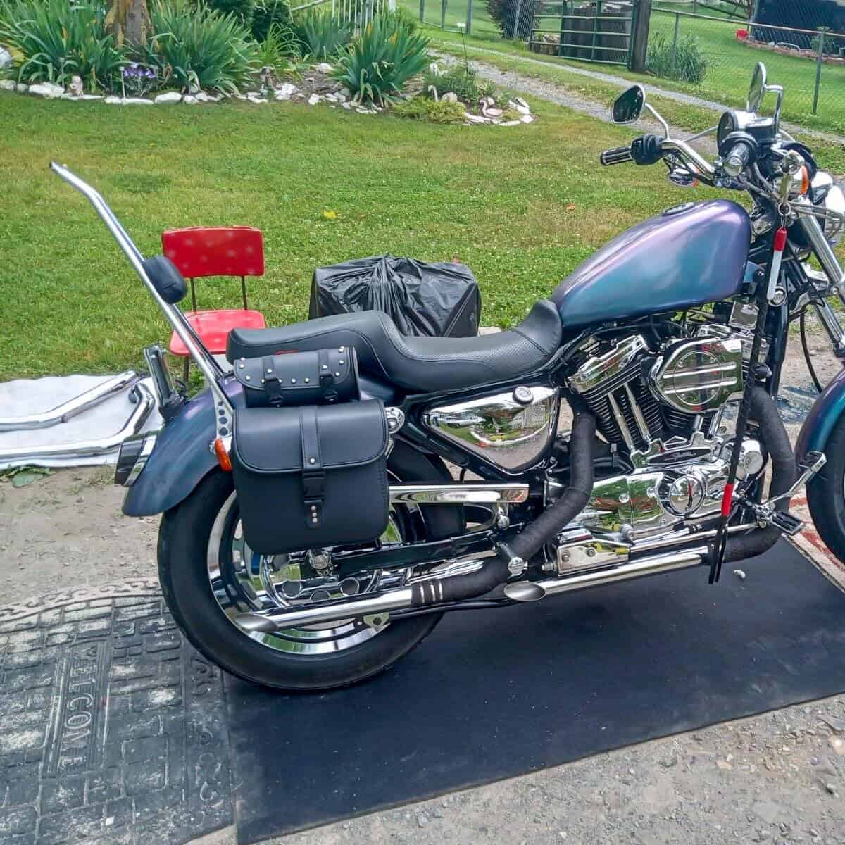 Wsays 21" Sissy Bar Pasajero Respaldo Clásico Cromado - Imagen 9