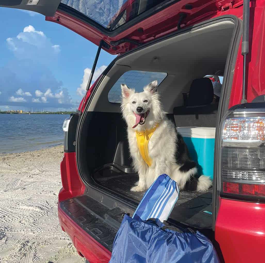 Forro de carga personalizado SMARTLINER todo clima detrás - Imagen 7