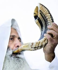 Shofar de Cordero Kosher de Israel Tradicional Medio