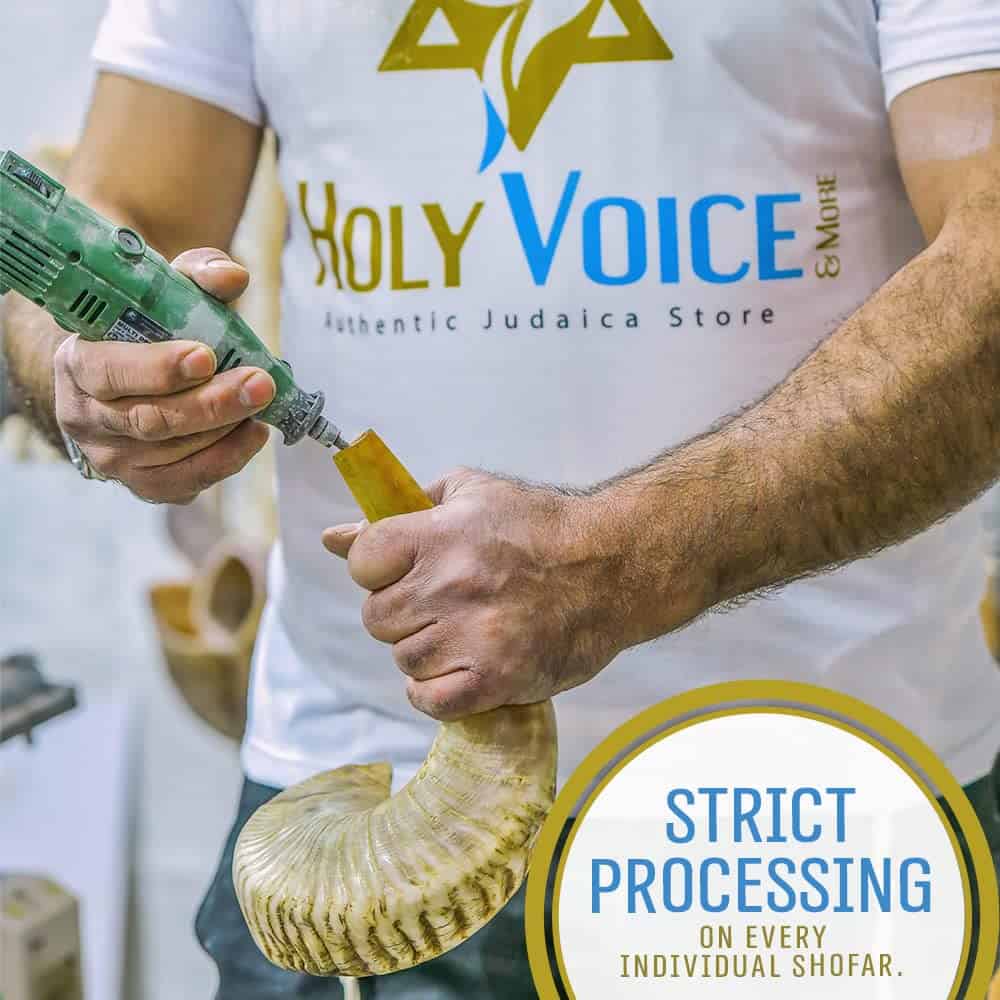 Shofar Ram Kosher hecho a mano de Israel, 12"-14"� Cuerno - Imagen 3