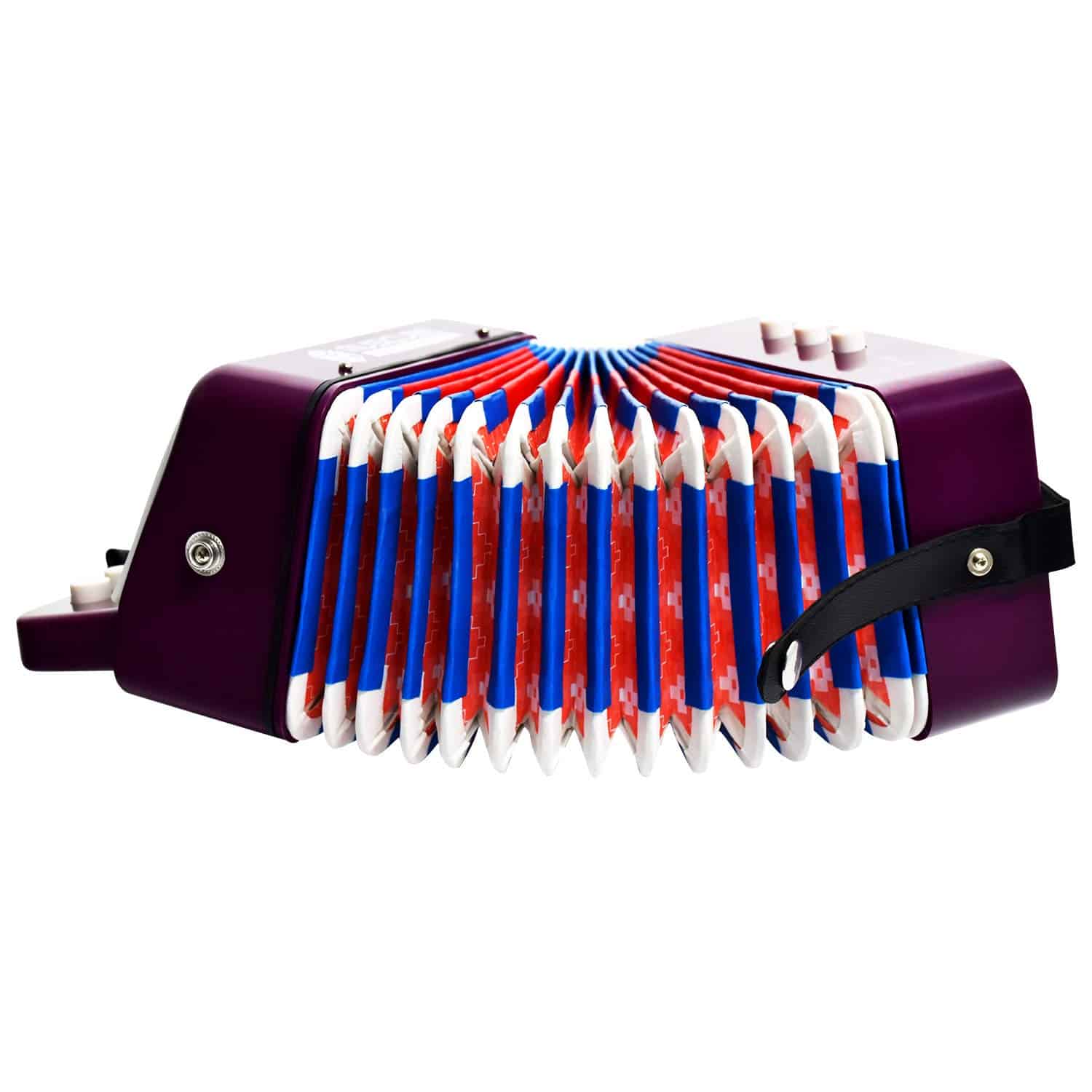 Acordeón de Juguete para Niños Instrumento Musical 10 - Imagen 5