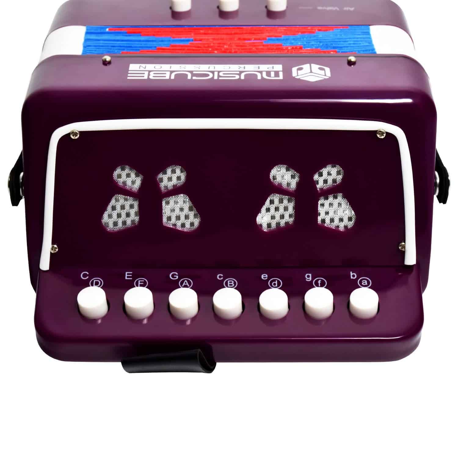 Acordeón de Juguete para Niños Instrumento Musical 10 - Imagen 4