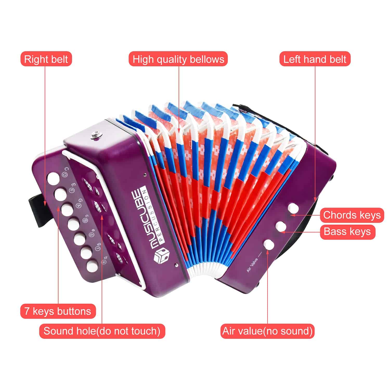Acordeón de Juguete para Niños Instrumento Musical 10 - Imagen 3