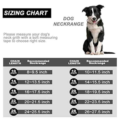 Collar de Perro PRADOG de Acero Inoxidable con Cierre de - Imagen 7