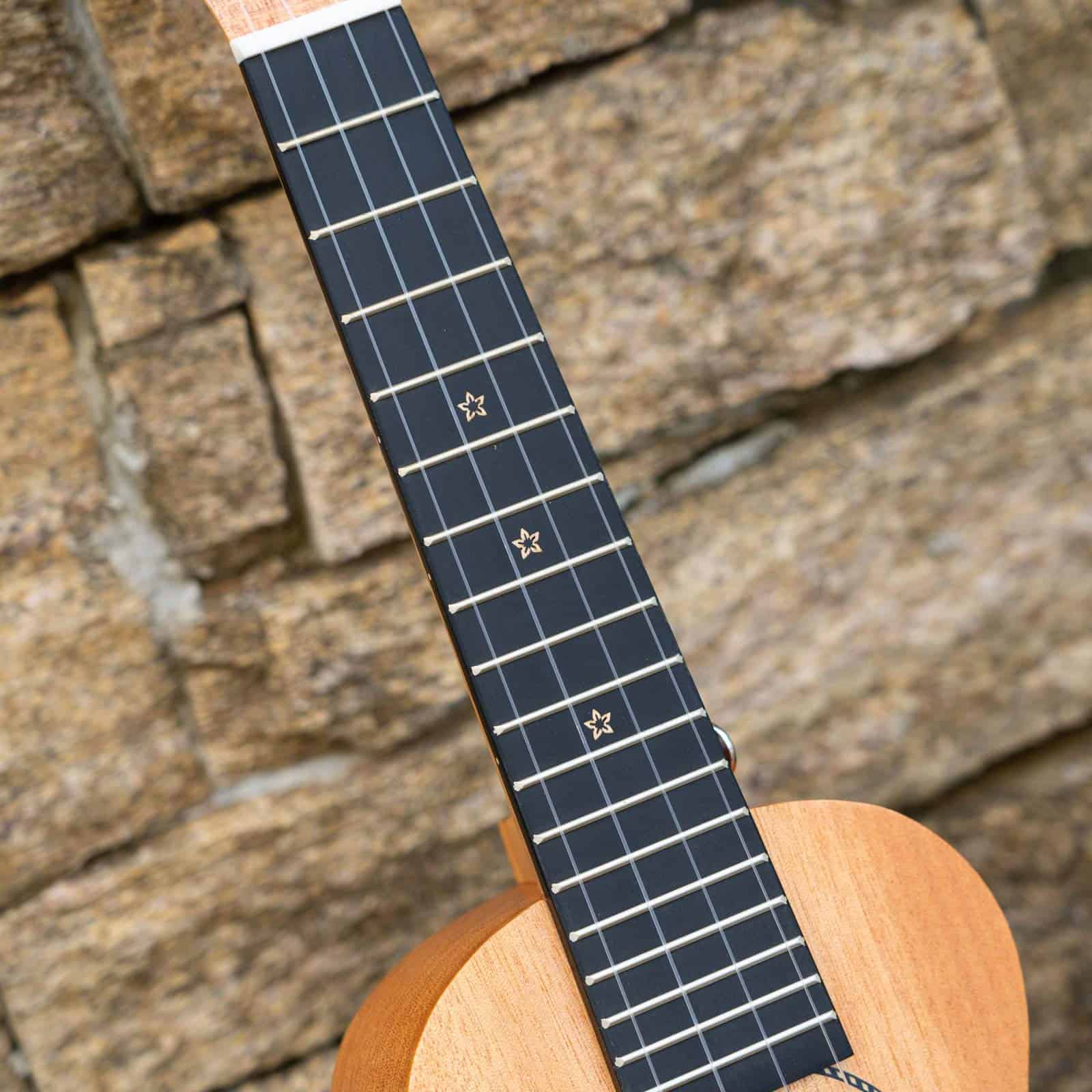 Ukulele Soprano Enya 21" Tapa de Caoba Maciza Kit para - Imagen 5