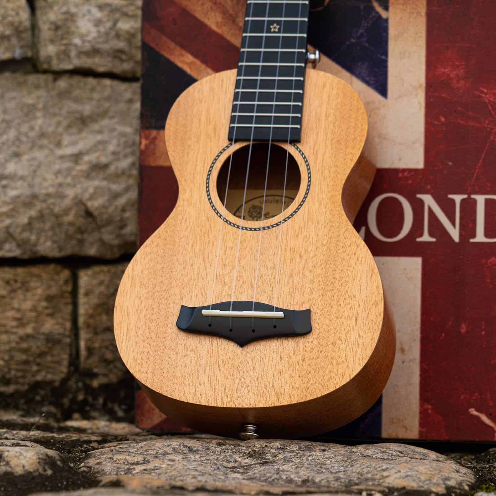 Ukulele Soprano Enya 21" Tapa de Caoba Maciza Kit para - Imagen 7