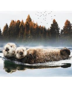 Manta de Nutrias Natación HommomH 50"x60" Suave y Esponjosa